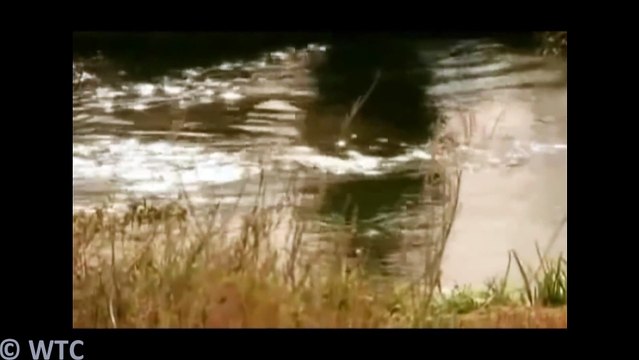 Yemen illerinde Veysel Karani. - ilahi seslidoluanyda.com