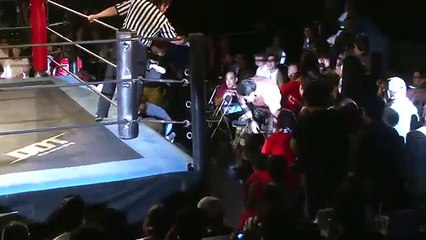 Shuji Ishikawa vs. Hikaru Sato