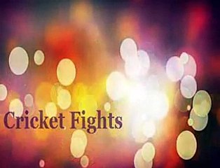 Unforgettable Fight Of Gambhir and Virat Kohli