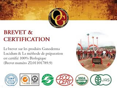 Webmarketing MLM Organo Gold Café Santé au Ganoderma lucidum