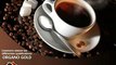 Webmarketing MLM Organo Gold Café Santé au Ganoderma lucidum