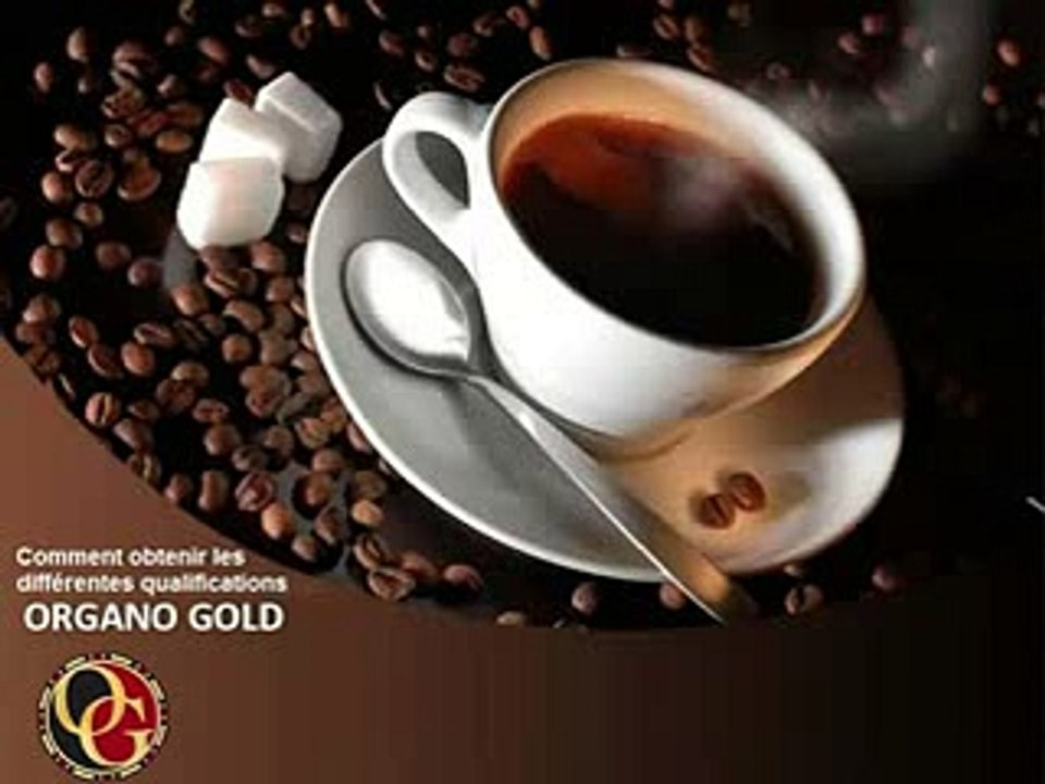 Webmarketing MLM Organo Gold Café Santé au Ganoderma lucidum