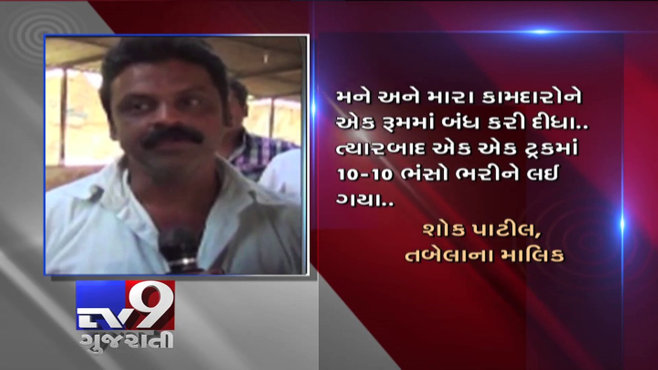 Mumbai Police arrests gang for stealing 60 Buffaloes at gunpoint - Tv9 Gujarati