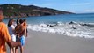 30 golfinhos encalham em praia de Arraial do Cabo. E ocorre um resgate inimaginável.
