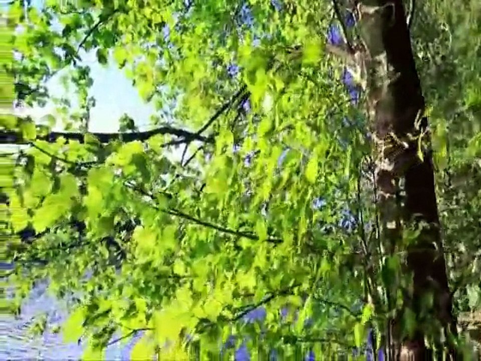 Neşet Ertaş - Yazımı kışa çevirdin