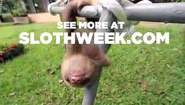 Bubbles Bursting in SLOW MOTION