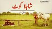 Arifa Siddiqui, Faisal Qureshi, Ahsan Khan, Nabeel - Drama Serial 'Shahla Kot' (Episode 07/13)