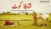 Arifa Siddiqui, Faisal Qureshi, Ahsan Khan, Nabeel - Drama Serial 'Shahla Kot' (Episode 13/13)