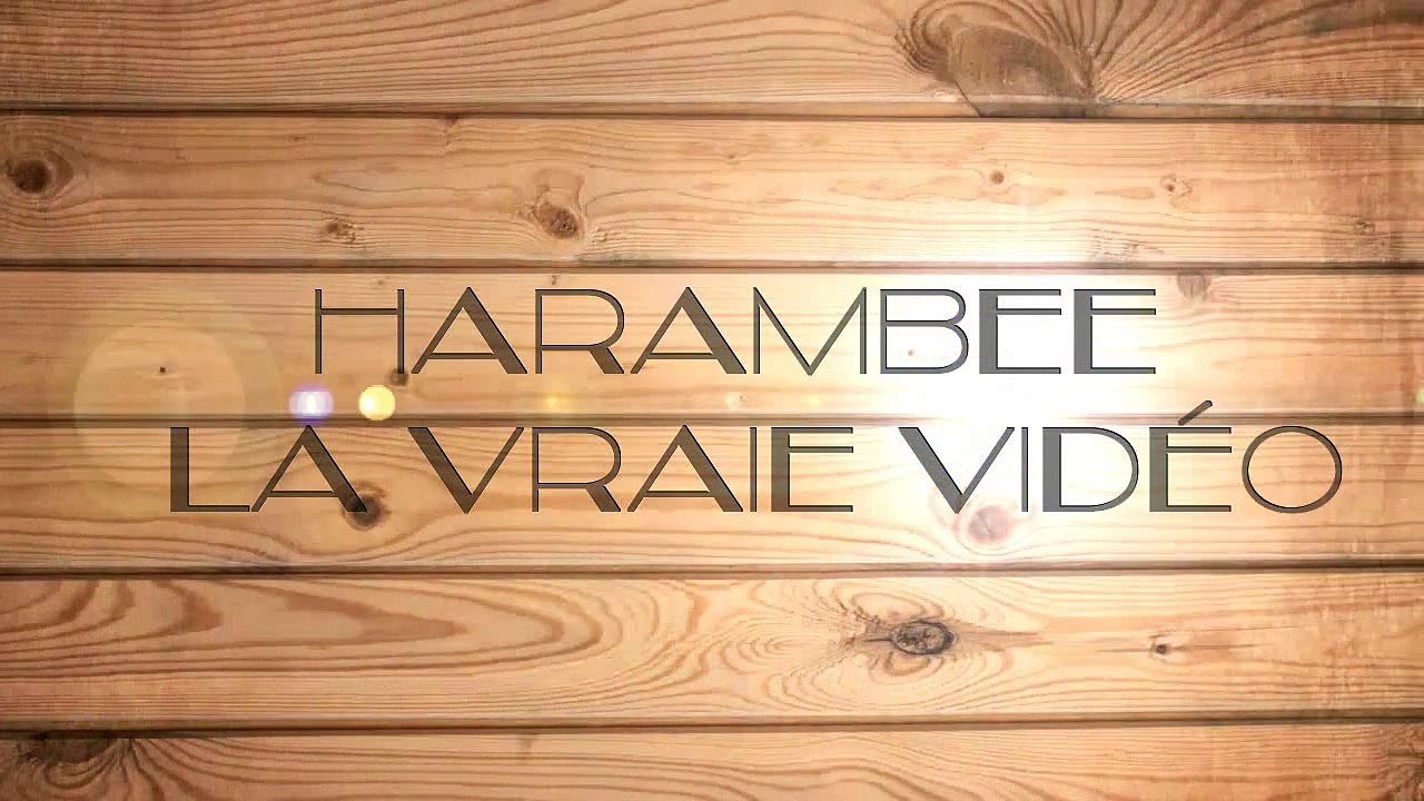 Bêtisier Harambee