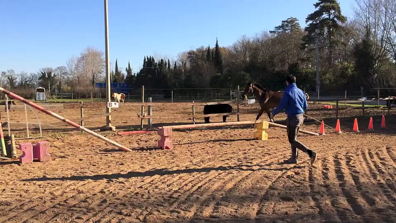Contender X Toulon