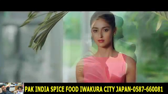 Palat Tera Hero Idhar Hai - Main Tera Hero -HD -ハラルスパイス岩倉市ジャパンSPICE FOOD JP
