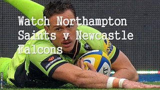 Live Northampton Saints vs Newcastle Falcons Coverage HAPPY NEW YEAR