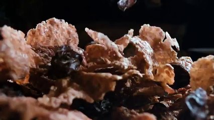 Kellog's Commercial Tomorrow is Yours to Claim - Andrea McArdle