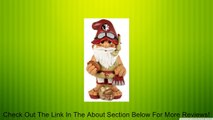 FLORIDA STATE SEMINOLES NCAA GARDEN GNOME 11 THEMATIC (SECOND EDITION) Review