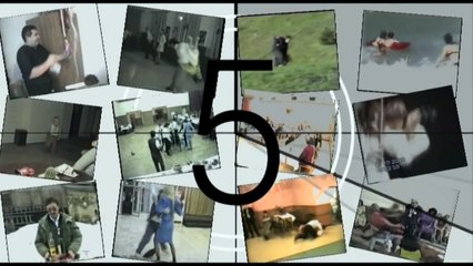 Funny Animals - Funny Dog plays TAKEDOWN