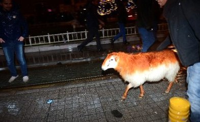 İstiklal Caddesindeki Yeni Yıl Coşkusuna Taksime Koyunuyla Katıldı