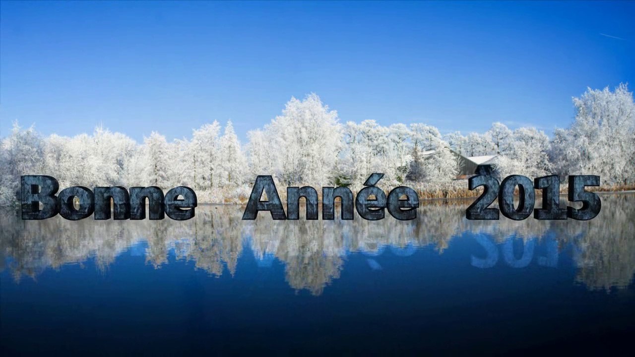 bonne année 2015