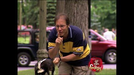 Best Skunk Pranks - Best of Just For Laughs Gags