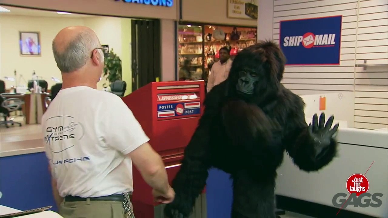 Best Wild Animals Pranks - Best of Just for Laughs Gags