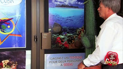 BOOM! CACTUS IN THE FACE