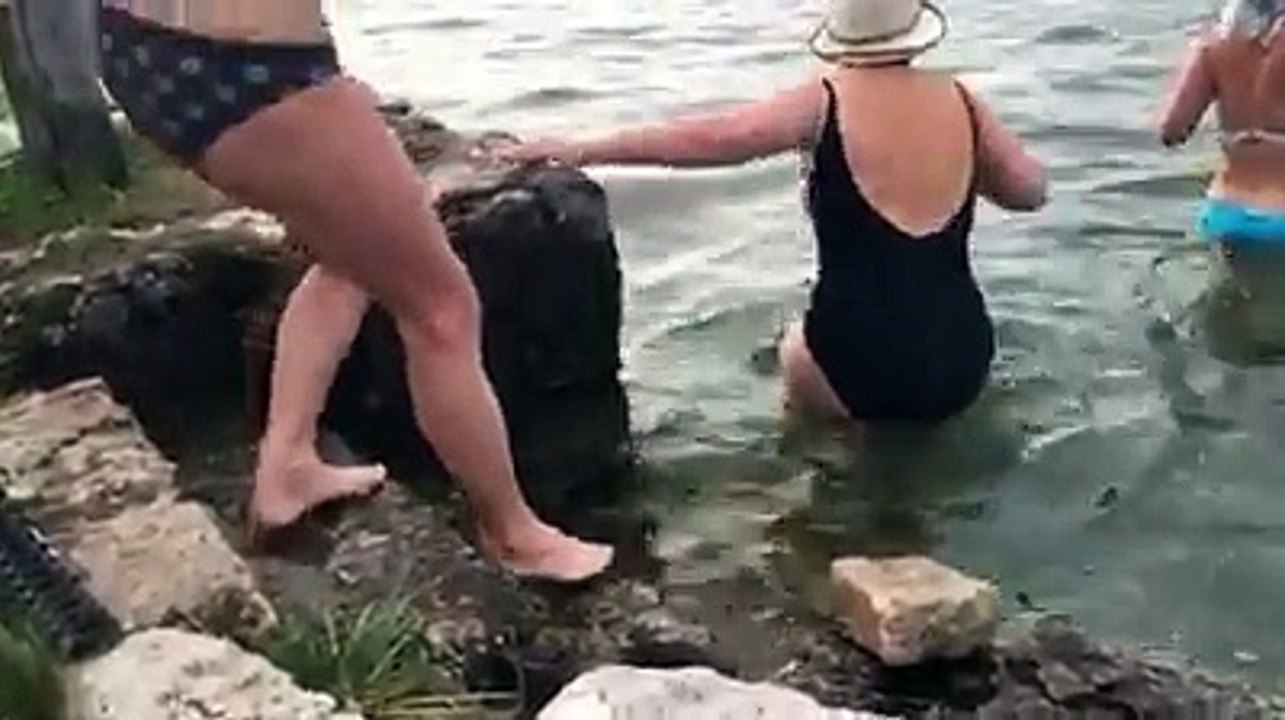 TALLOIRES | Les "Vikings" ont fêté 2015 dans une eau à 7,5 degrés