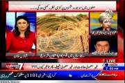 AAJ News Pakistan At 7 Shazia Khan with MQM Farogh Naseem (01 JAN 2015)