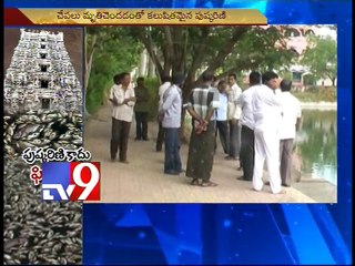 Pushkarini turns Fishkarini in West Godavari temple!