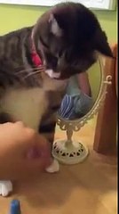 jufsdび◖◖◖【【ＤＢＡ７0７。ＣOＭ】】◗◗◗ぢ네임드사다리◗◗ぢ네­임­드­사­다­리