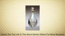 10 Large AAA Top Quality Clear Teardrop Crystal Chandelier Gold/Brass Pinning Review