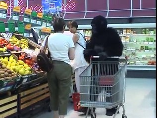 Gorilla (RéMi GAILLARD) $