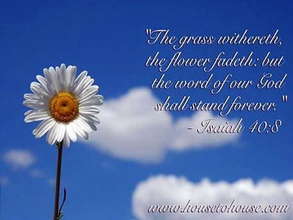 Ata Hoon Tere Hazoor - Ernest Mall