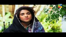 Aagosh Telefilm By Hum Tv - 1st January 2015 Full