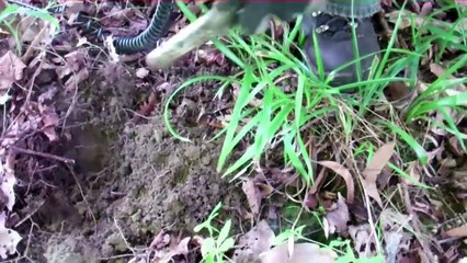 American Ghost Town Hunters Meriposa Park