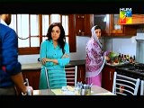 Mehram Episode 16 on Hum Tv  1st January 2015
