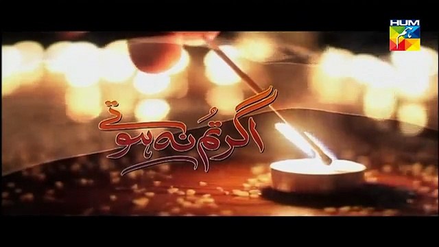 Agar Tum Na Hote Episode 86 Full 1 Jan 2015 Hum TV Drama