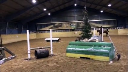 Kyoto Inomhus terräng