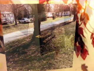 Gardeau Ghost Town with H.Charles Beil