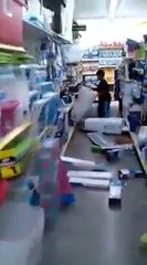 KId Trashes Dollar General Store In Tallahassee, Florida