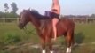 A Girl Ice Bucket Challenge with ride on horse