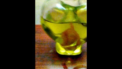 Life Forms found in HOLY OIL!