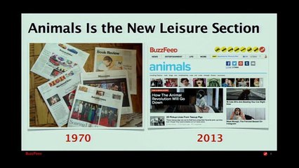 Buzzfeed: Animals Is the New Leisure Section