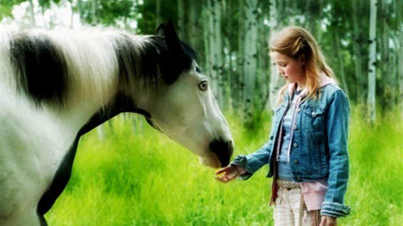 Watch Moondance Alexander Full Movie HD 1080p