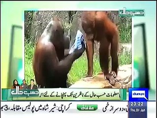 Hasb E Haal 1 January 2015 - 1 Jan 2015 On Dunya News - youPak.com