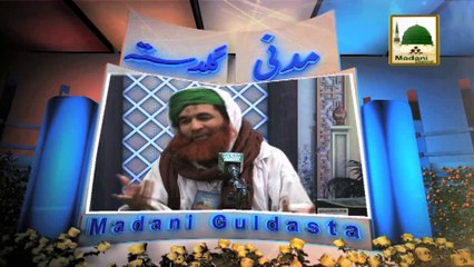 Download Video: Madani Guldasta 203 - Hath Milane Kay 14 Madani Phool - Maulana Ilyas Qadri