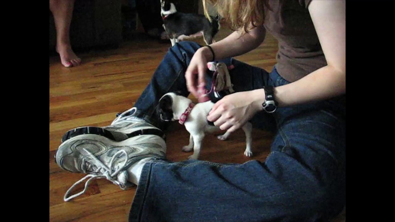 Tiny Dot