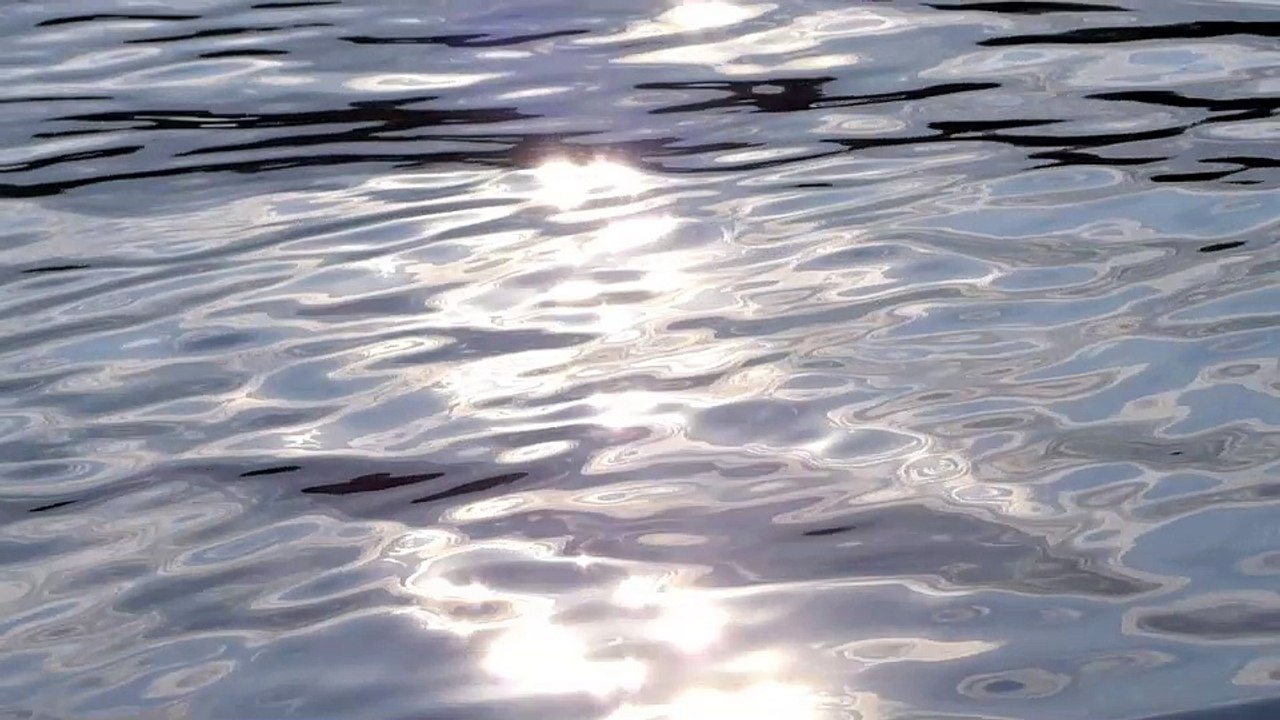 DGZW - humans(R)demons - (2) Die Gesellschaft zum Wegwerfen