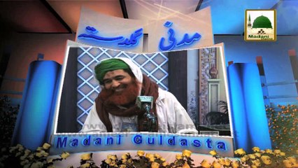 Madani Guldasta 281 - Dil Khul Jata Hai - Maulana Ilyas Qadri