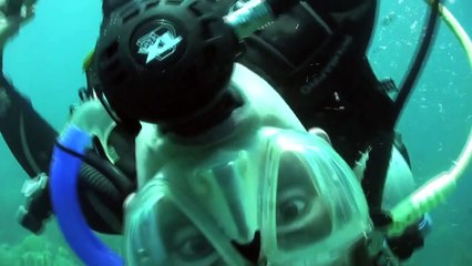 What happens when you crack an egg underwater