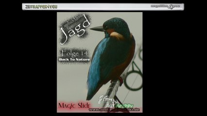 Tagebuch Meiner Jagd Teil 14 Back To Nature