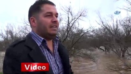 Menderes Taştı, Aydın Ovası Göle Döndü